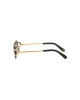 Sunglasses PLEIN SLEEK