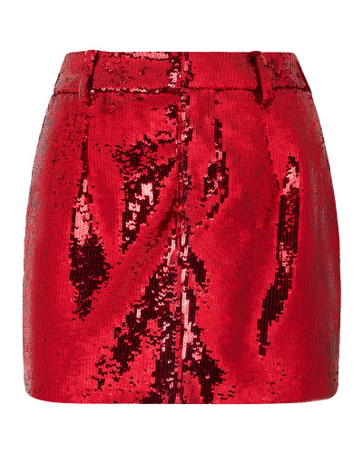 Mini Skirt Paillettes